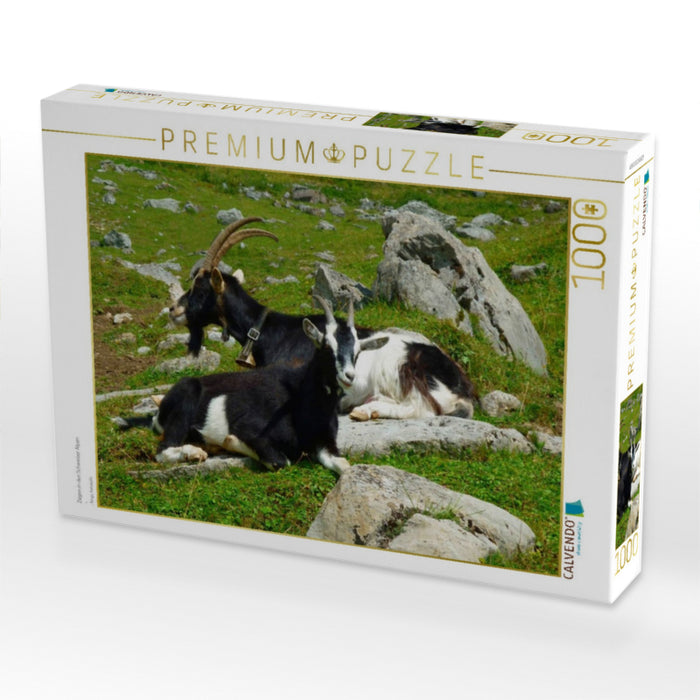 Ziegen in den Schweizer Alpen - CALVENDO Foto-Puzzle'