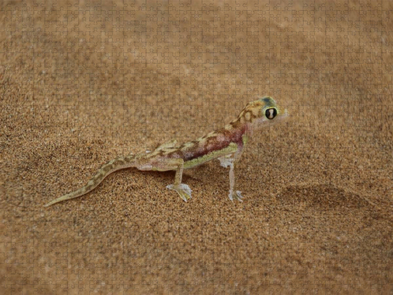 Wüstengecko - CALVENDO Foto-Puzzle'