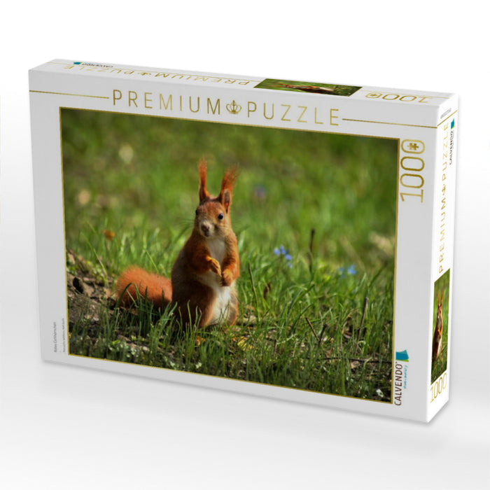 Rotes Eichhörnchen - CALVENDO Foto-Puzzle'