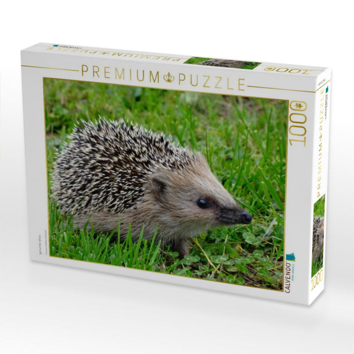 Igel auf der Wiese - CALVENDO Foto-Puzzle'