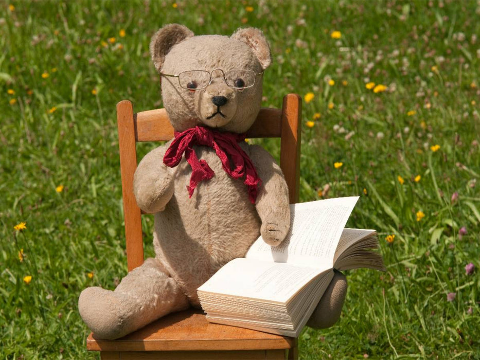 Immer im Bilde sein - CALVENDO Foto-Puzzle'