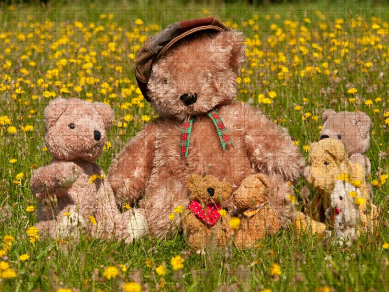 Familienausflug - CALVENDO Foto-Puzzle'
