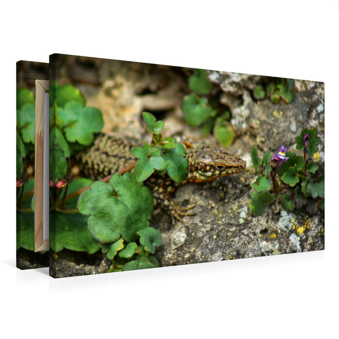 Premium Textil-Leinwand Eidechse mit Blume