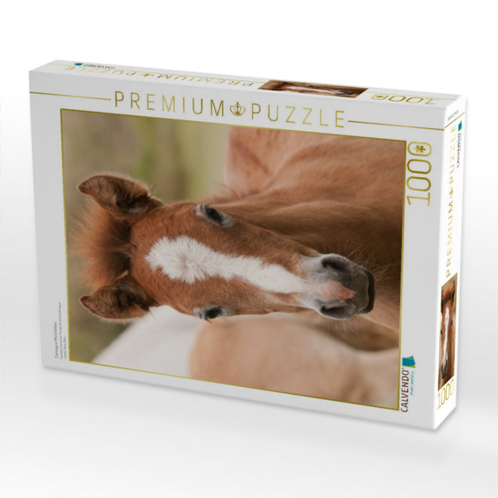 Camargue Pferd Fohlen - CALVENDO Foto-Puzzle'