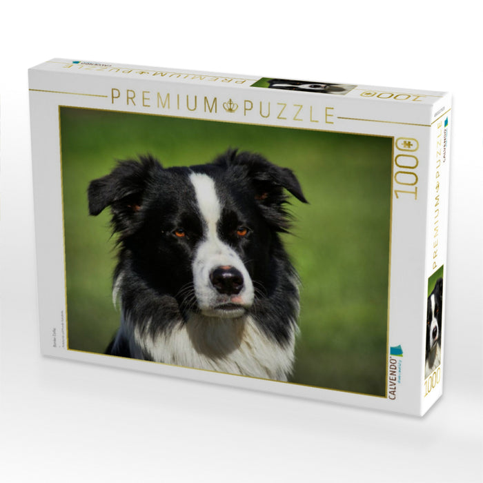 Border Collie - CALVENDO Foto-Puzzle'