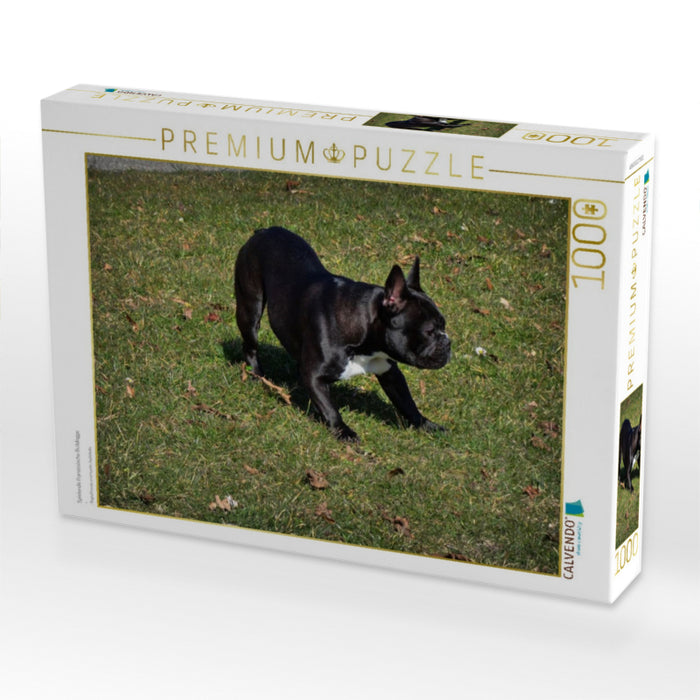 Spielende Französische Bulldogge - CALVENDO Foto-Puzzle'