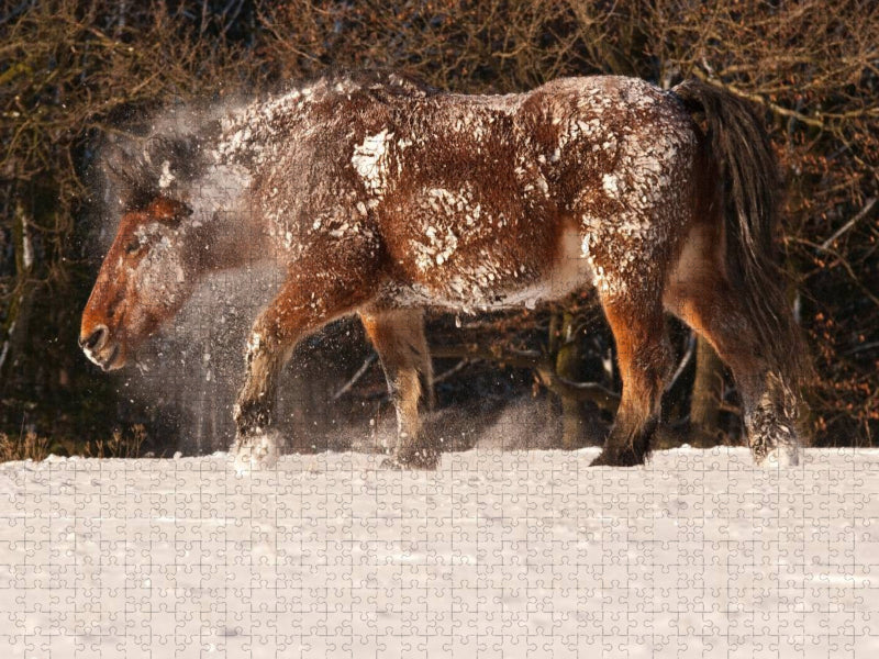 Kaltblüter fühlen sich auch im Schnee wohl - CALVENDO Foto-Puzzle'