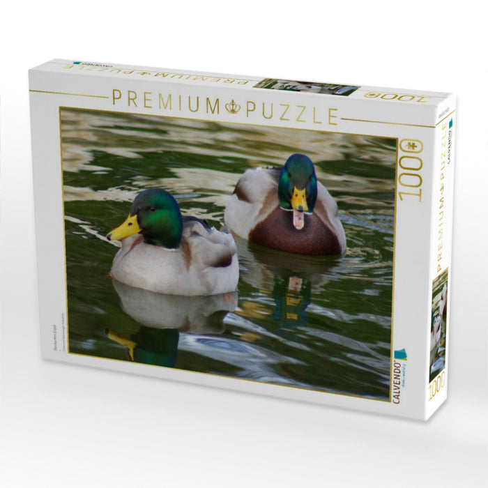 Stockenten Erpel - CALVENDO Foto-Puzzle'