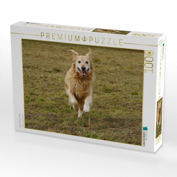 Golden Retriever in Aktion - CALVENDO Foto-Puzzle'