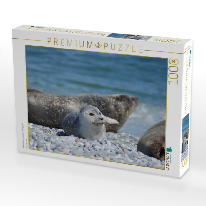 Robben Baby am Strand von Helgoland - CALVENDO Foto-Puzzle'