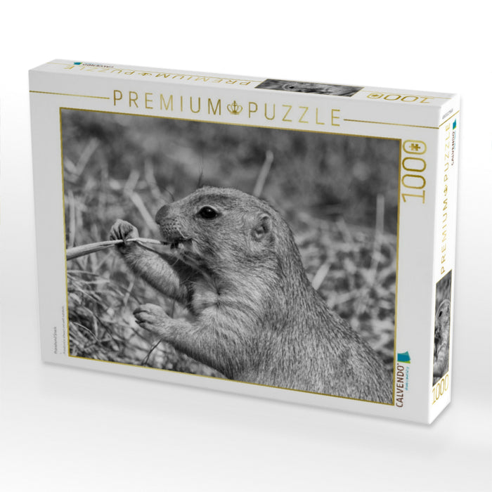 Präriehund Snack - CALVENDO Foto-Puzzle'