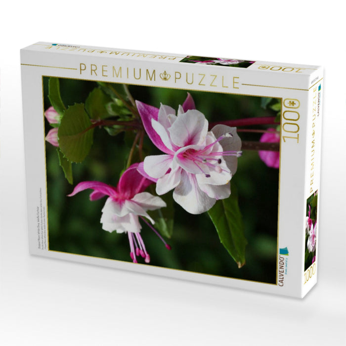 Doppel Neon White Diva, Weiße Fuchsie - CALVENDO Foto-Puzzle'