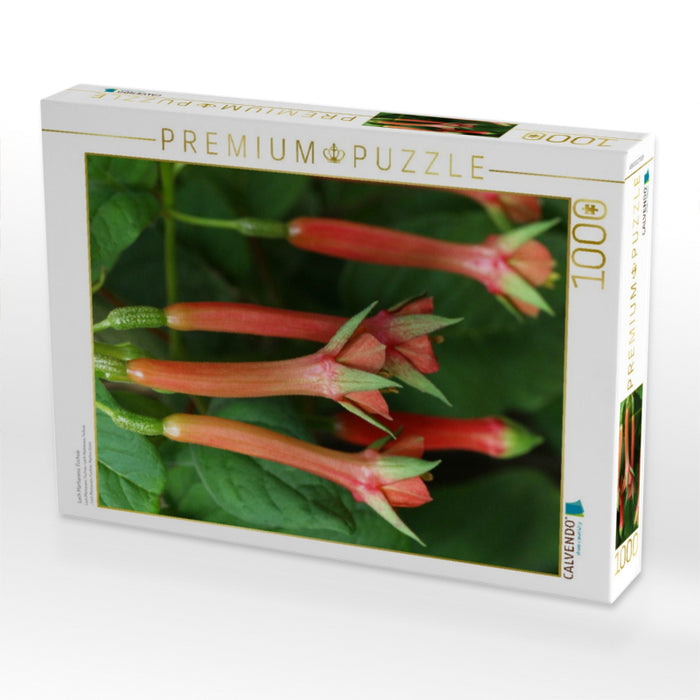 Lech Martianess, Fuchsie - CALVENDO Foto-Puzzle'