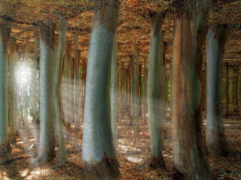 Fantasiewald - CALVENDO Foto-Puzzle'