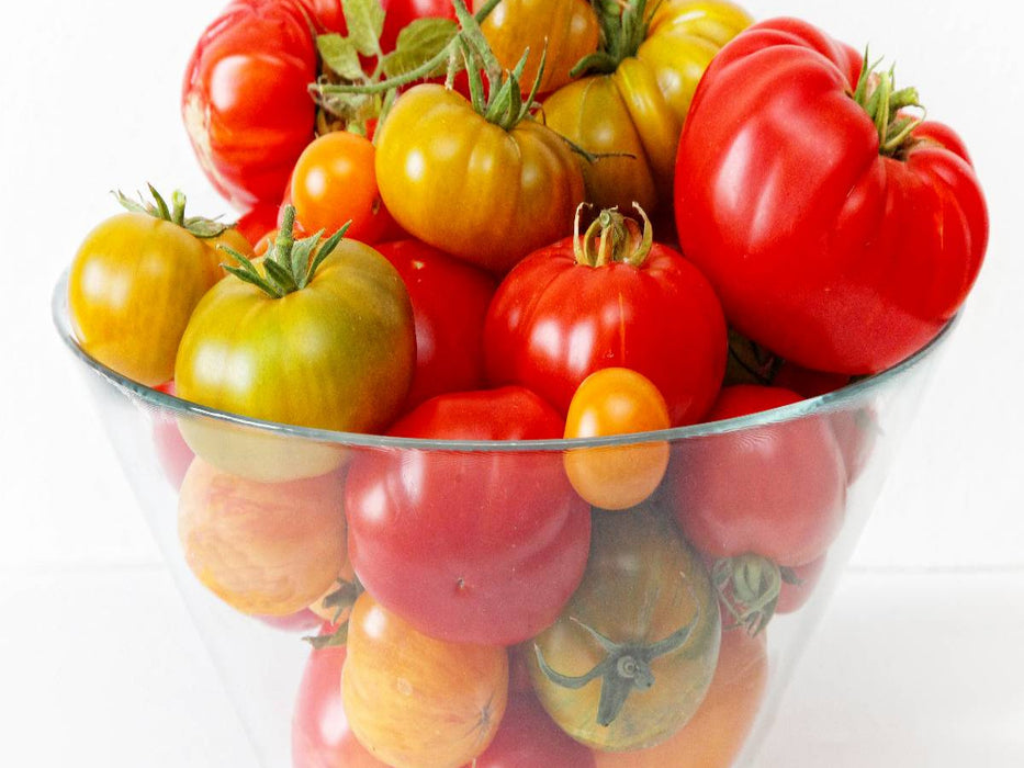 Leckere Bio Tomaten - CALVENDO Foto-Puzzle'