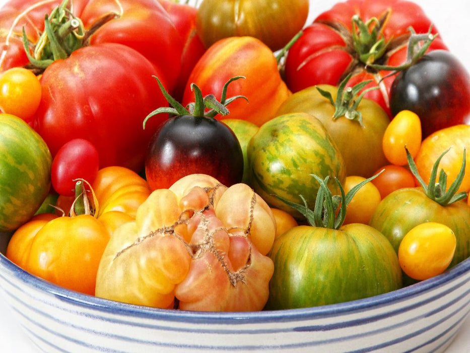 Leckere Bio Tomaten - CALVENDO Foto-Puzzle'