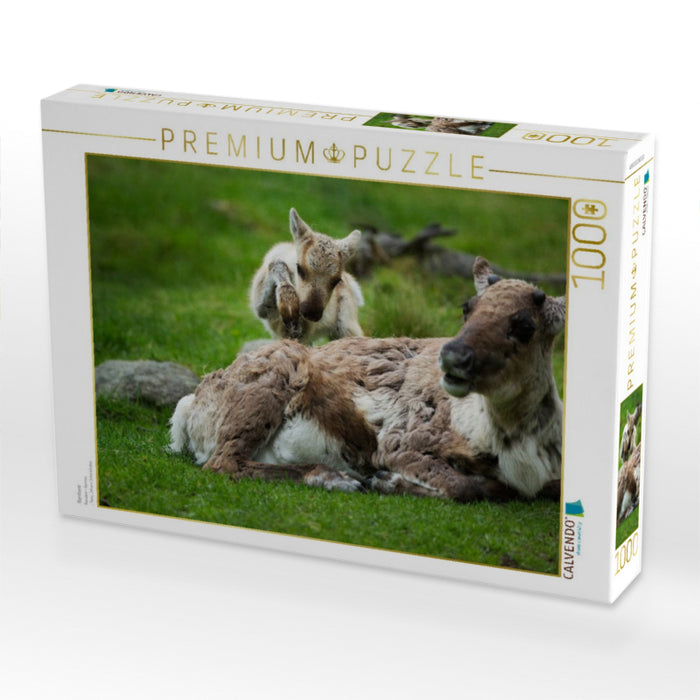 Rentiere - CALVENDO Foto-Puzzle'