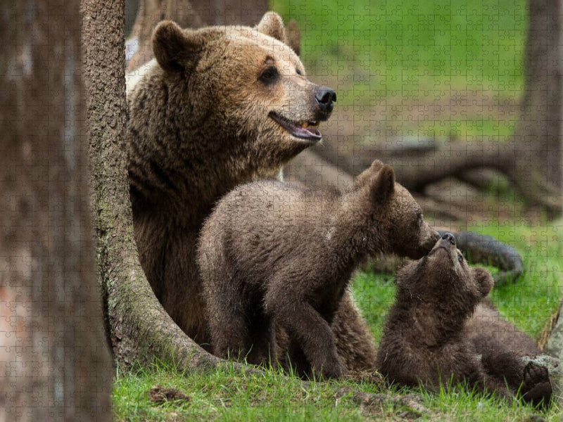 Tierbabys - CALVENDO Foto-Puzzle'