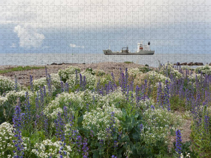 blühender Strand an der Ostsee - CALVENDO Foto-Puzzle'