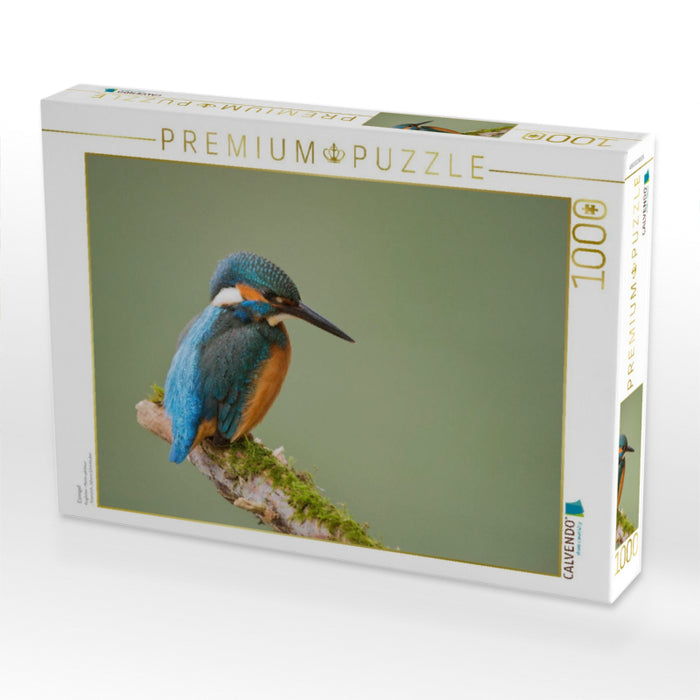 Eisvogel - CALVENDO Foto-Puzzle'