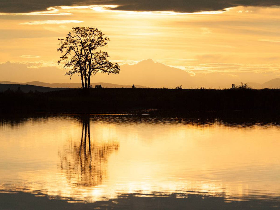 Abendstimmung - CALVENDO Foto-Puzzle'