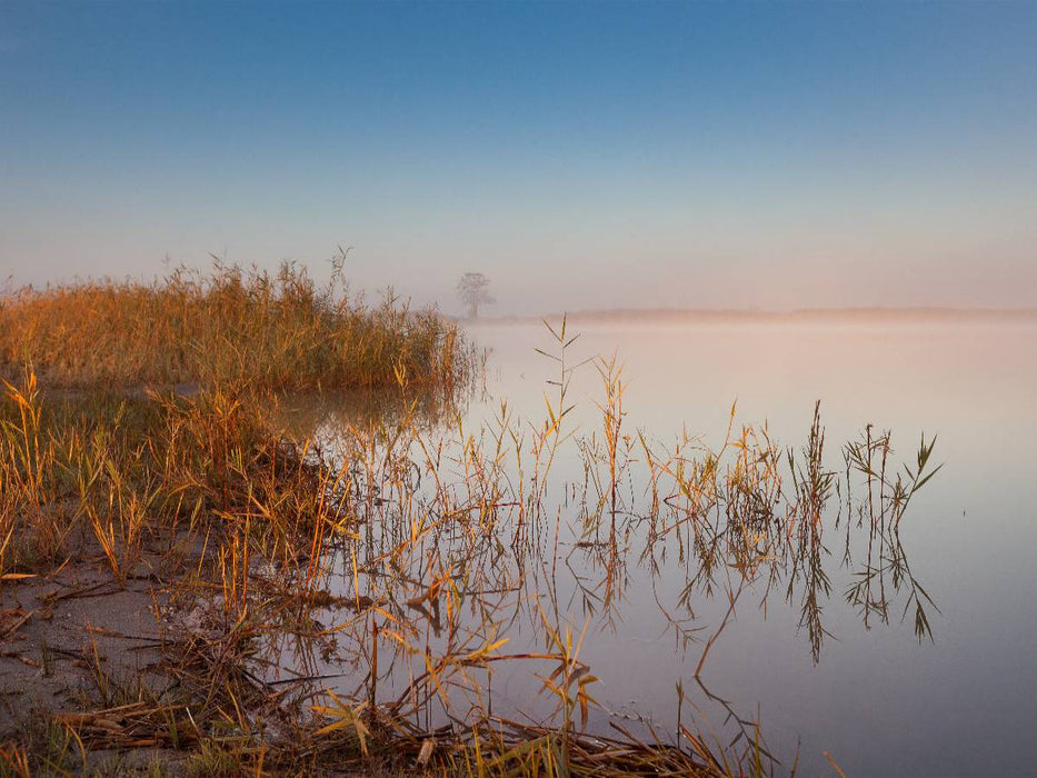 Ein Motiv aus dem Kalender Natur erleben Seewinkel-Neusiedlersee - CALVENDO Foto-Puzzle'