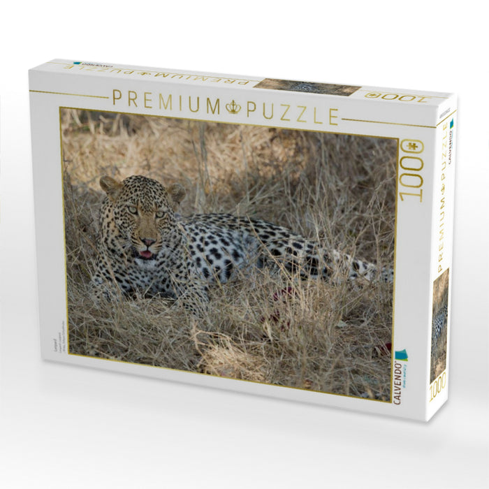 Leopard - CALVENDO Foto-Puzzle'