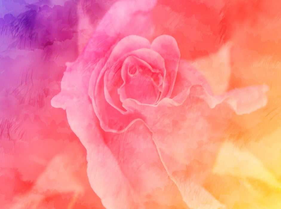 Bunte Rose - CALVENDO Foto-Puzzle'