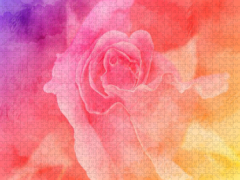 Bunte Rose - CALVENDO Foto-Puzzle'