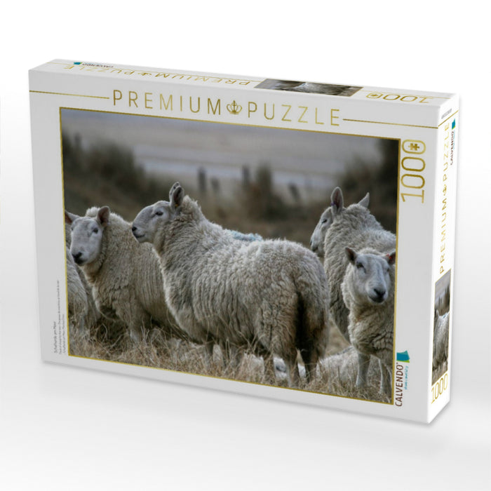 Schafherde am Meer - CALVENDO Foto-Puzzle'