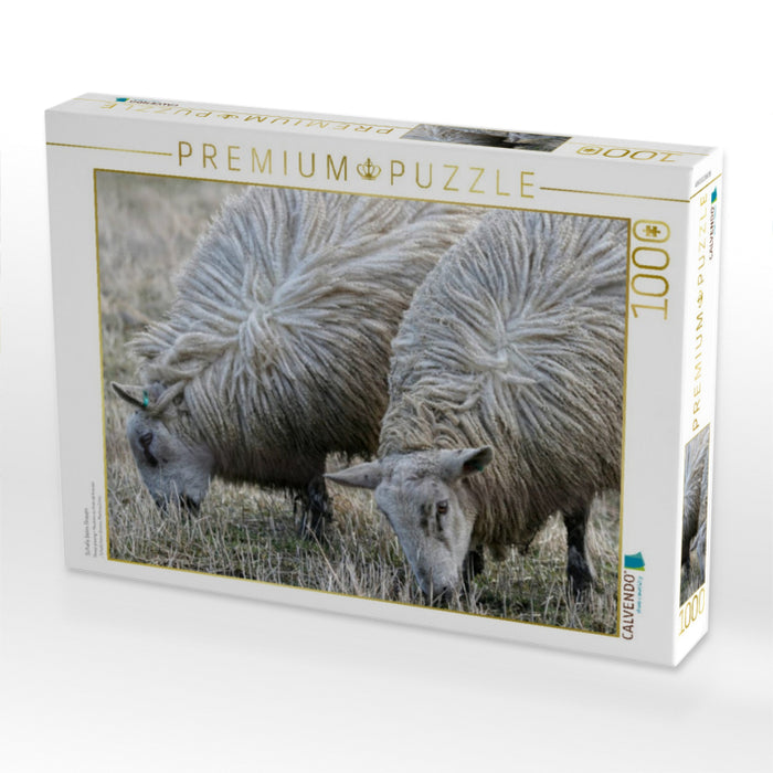Schafe beim Grasen - CALVENDO Foto-Puzzle'