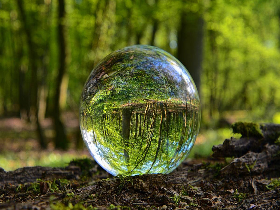 Ein Motiv aus dem Kalender Wunderbare Waldkugeln - CALVENDO Foto-Puzzle'