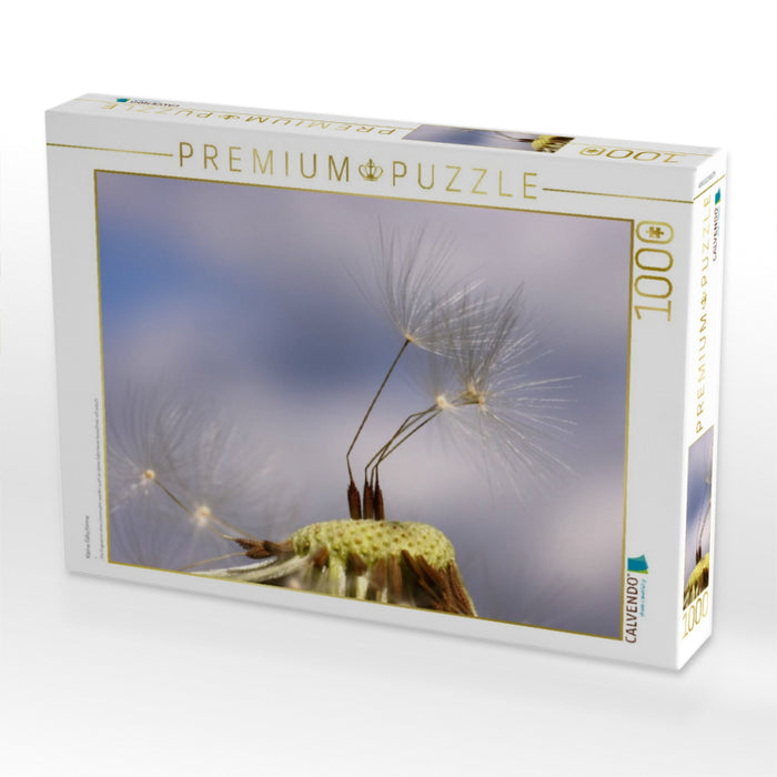 Kleine Fallschirme - CALVENDO Foto-Puzzle'
