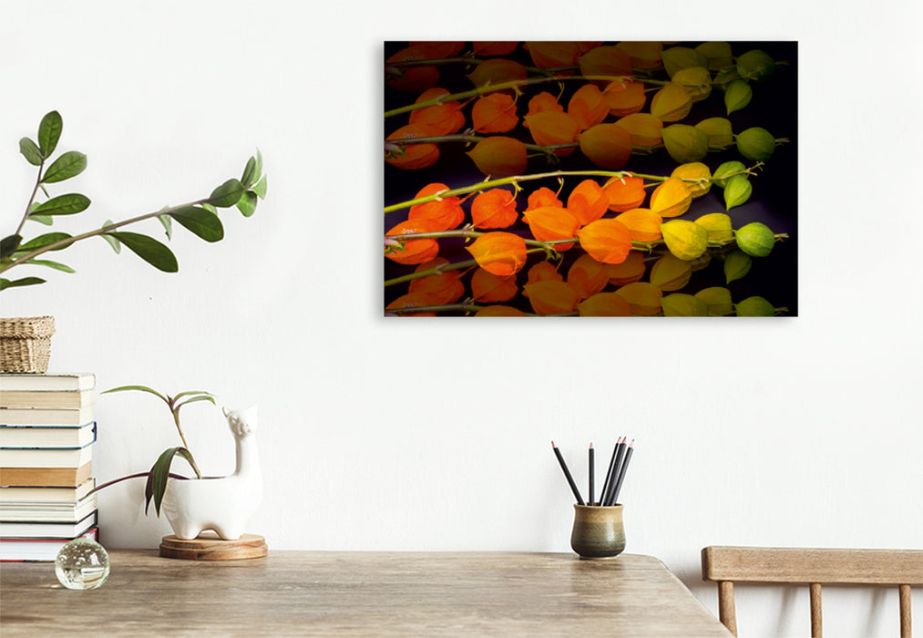 Premium Textil-Leinwand Premium Textil-Leinwand 120 cm x 80 cm quer Ein Motiv aus dem Kalender Emotionale Momente: Physalis. / CH-Version