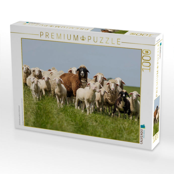 Schafherde am Deich in Ostfriesland - CALVENDO Foto-Puzzle'