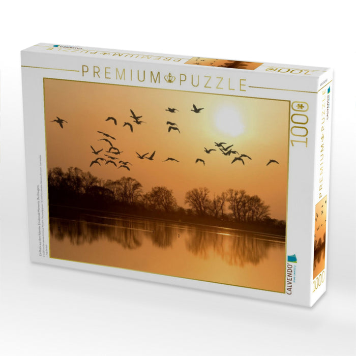 Ein Motiv aus dem Kalender Emotionale Momente: Die Graugans. - CALVENDO Foto-Puzzle'