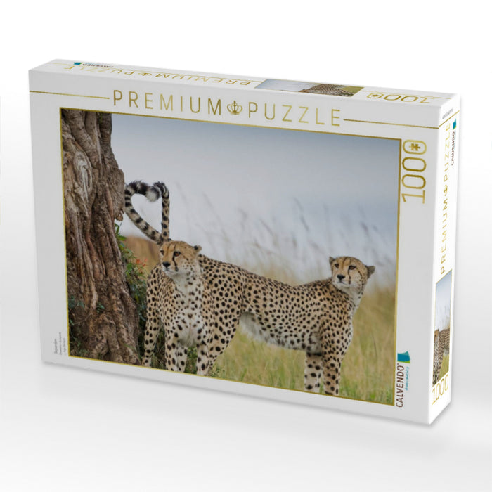 Geparden - CALVENDO Foto-Puzzle'