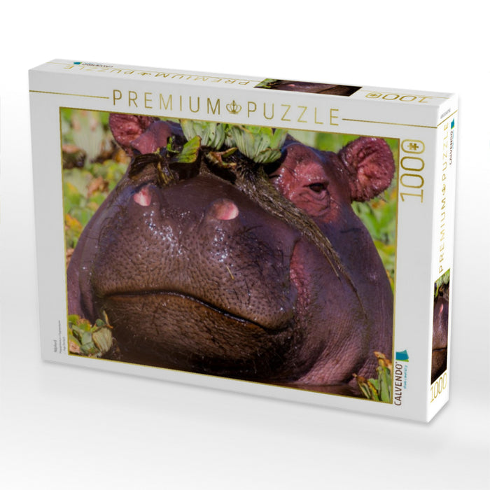 Nilpferd - CALVENDO Foto-Puzzle'