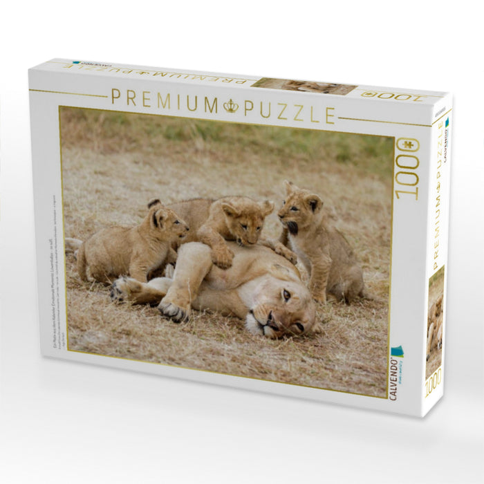 Ein Motiv aus dem Kalender Emotionale Momente: Löwenbabys - so süß. - CALVENDO Foto-Puzzle'