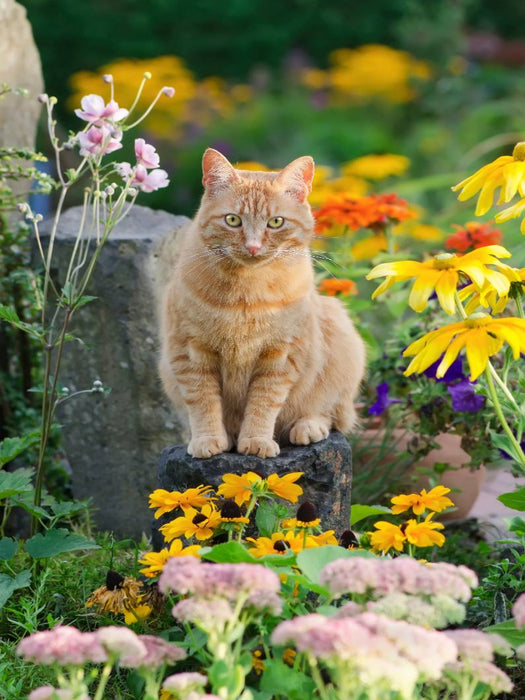 Roter Gartentiger zwischen Sommerblumen - CALVENDO Foto-Puzzle'