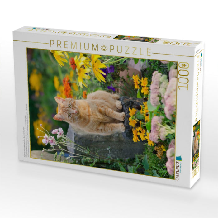 Roter Gartentiger zwischen Sommerblumen - CALVENDO Foto-Puzzle'