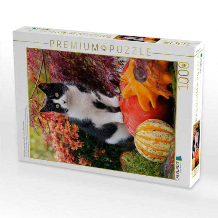 Neugierige Katze steht auf Kürbissen und beobachtet - CALVENDO Foto-Puzzle'