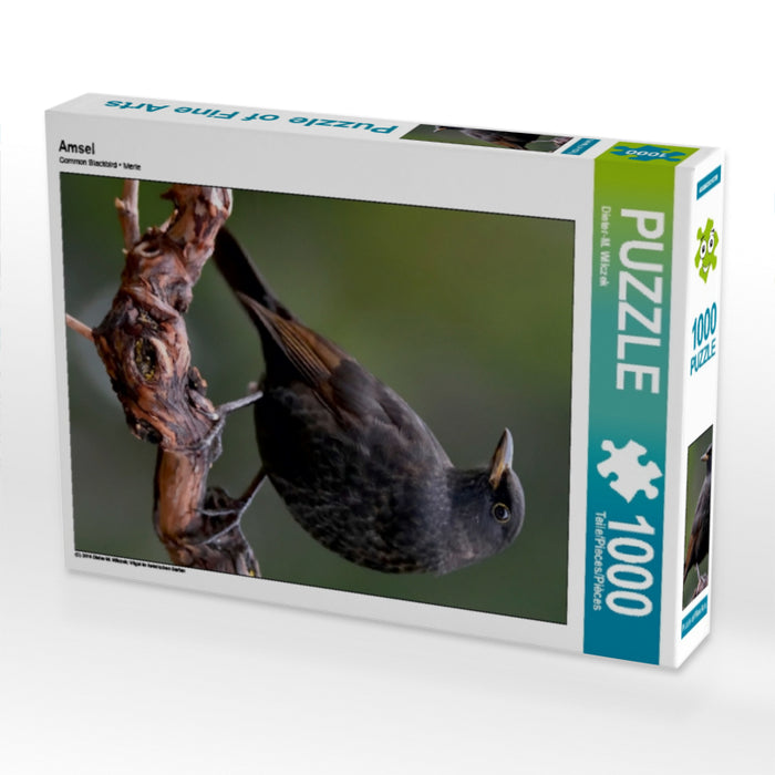 Blackbird - CALVENDO photo puzzle 