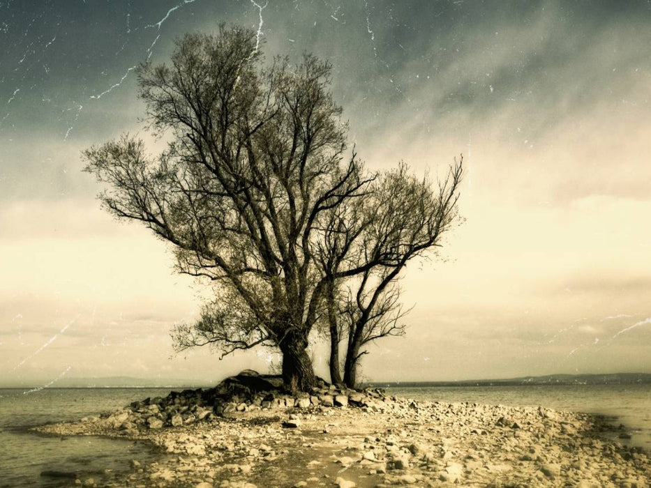 Ein Motiv aus dem Kalender Wunderland – Mystische Landschaften - CALVENDO Foto-Puzzle'
