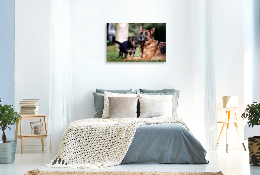 Premium Textil-Leinwand Premium Textil-Leinwand 120 cm x 80 cm quer Schäferhund-Welpe mit Mutter