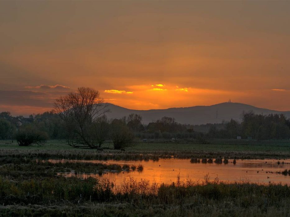 Bingenheimer Ried - CALVENDO Foto-Puzzle'