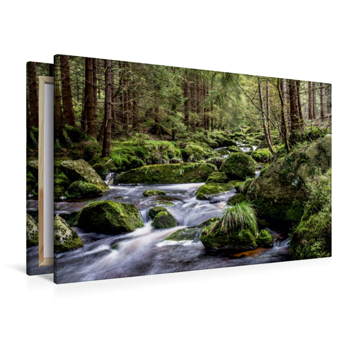 Premium Textil-Leinwand Eckerfälle