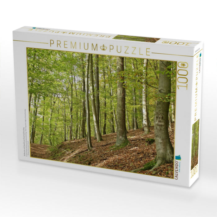 Rotbuche mit Gesicht am Knorreichenstieg - CALVENDO Foto-Puzzle'