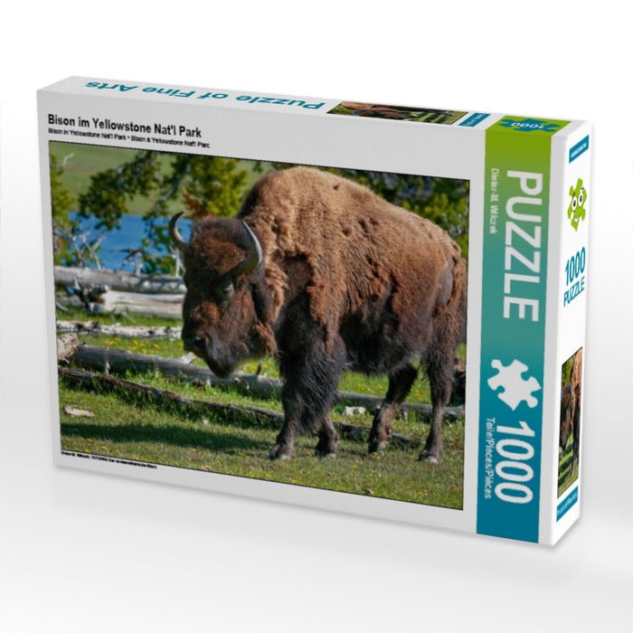 Bison im Yellowstone Nat'l Park 1000 Teile Puzzle quer - CALVENDO Foto-Puzzle'