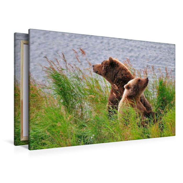 Premium Textil-Leinwand Alaska Braunbären